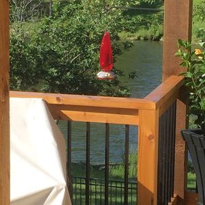 Meet your Posher, Kathy